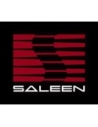 SALEEN